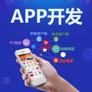 APP定制开发